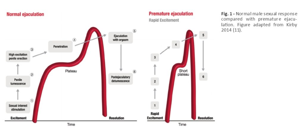 Fortacin and premature ejaculation